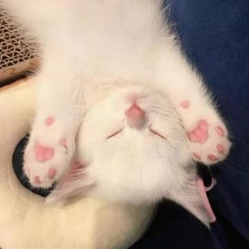 Ảnh đại diện Mai Hương
